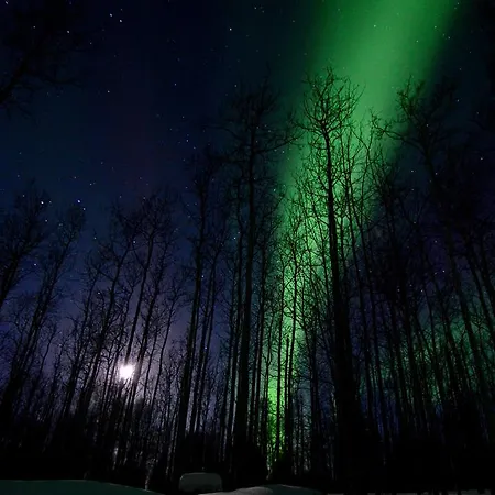 Wildmoon Home Fairbanks Exterior foto